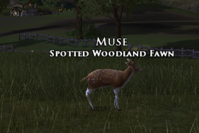 LOTRO Farmers Faire - Tome of the Woodland Doe
